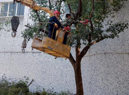 �޼���ľ  �������