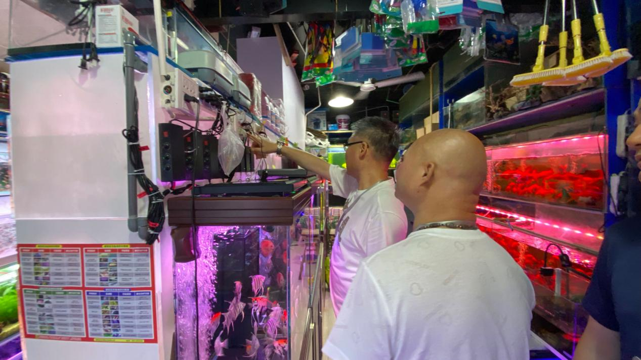 ���罫�����������У�Ǯ���̳ǽ�ǰ��������