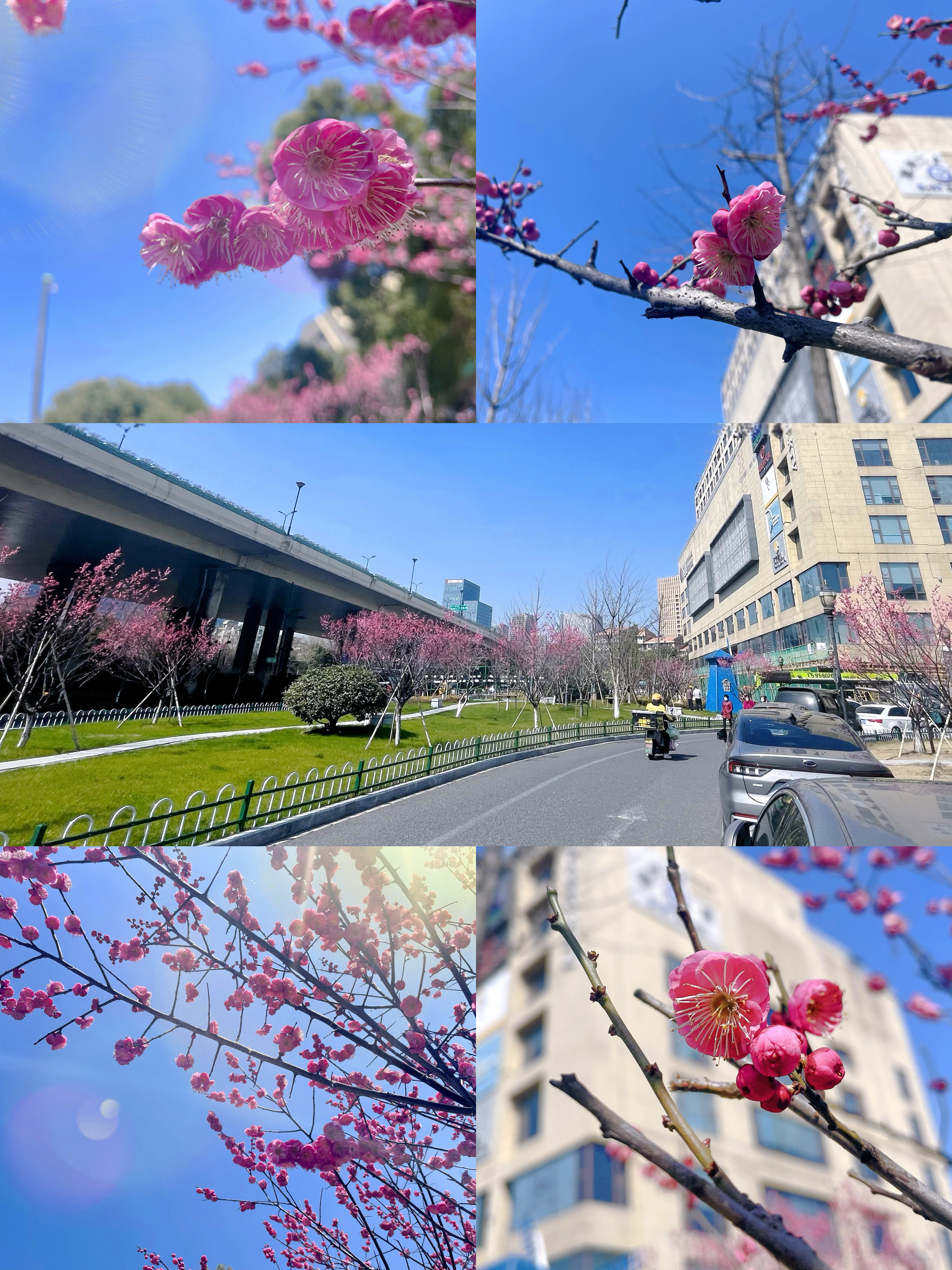 ÷�����Կຮ�����������Ż�����