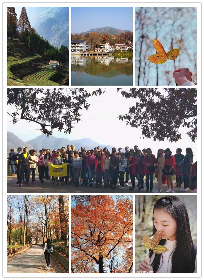 �������ǲ��������ӽ����г���֯��ָ�ϴ�����˶�