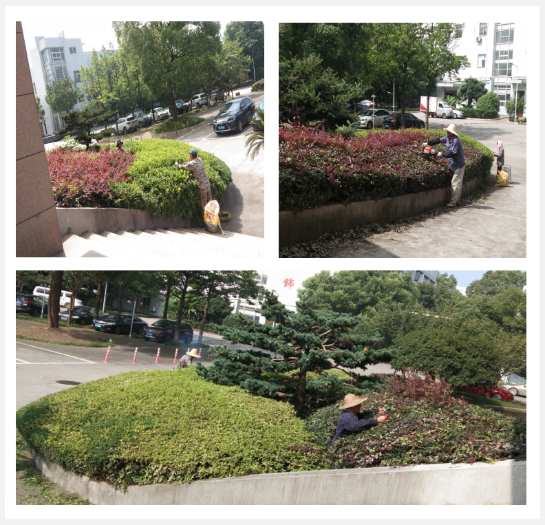 �����̻����������ж�      