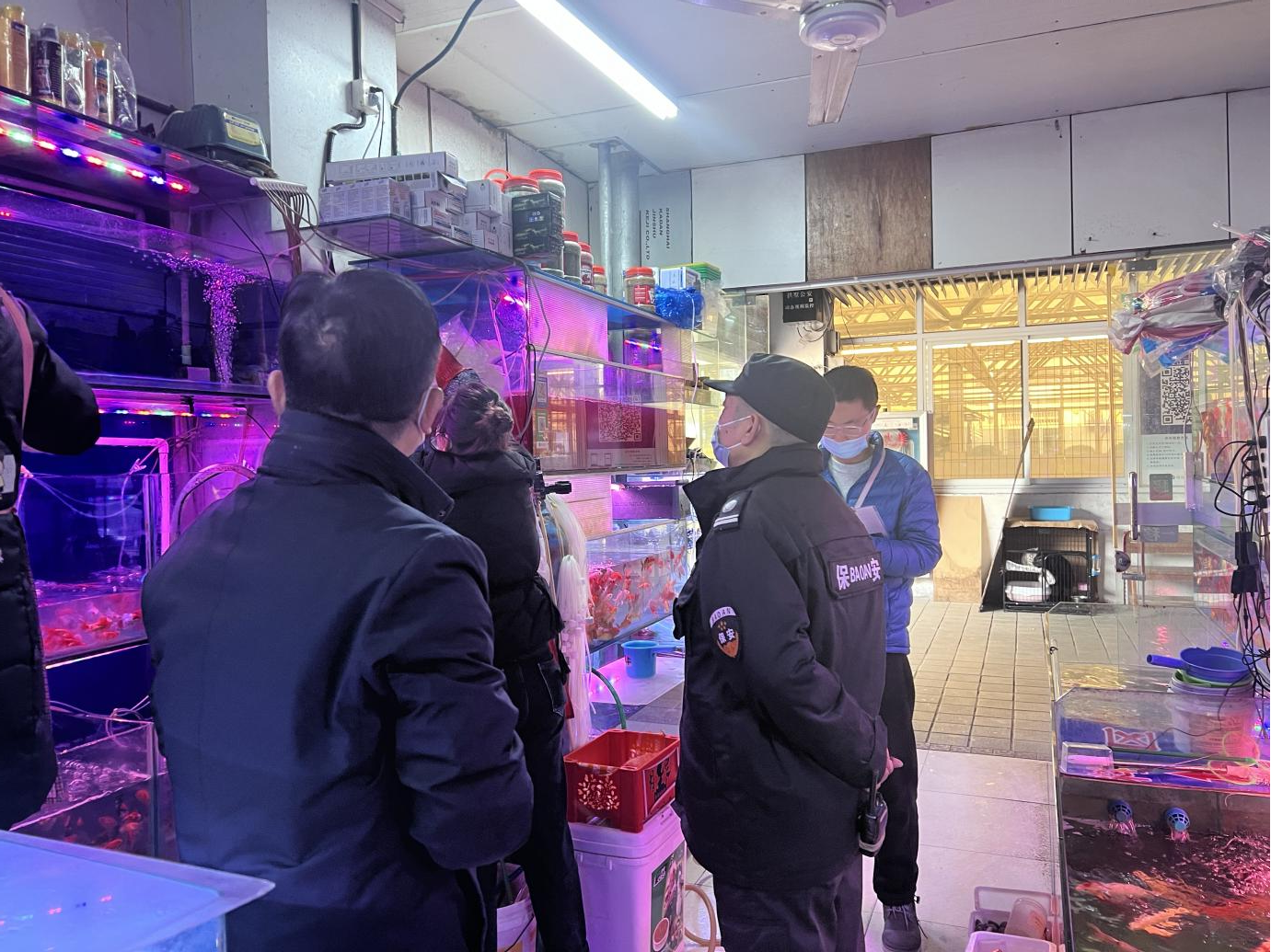 ��ǰ�������Ų� ��������ӭ�����ڡ�