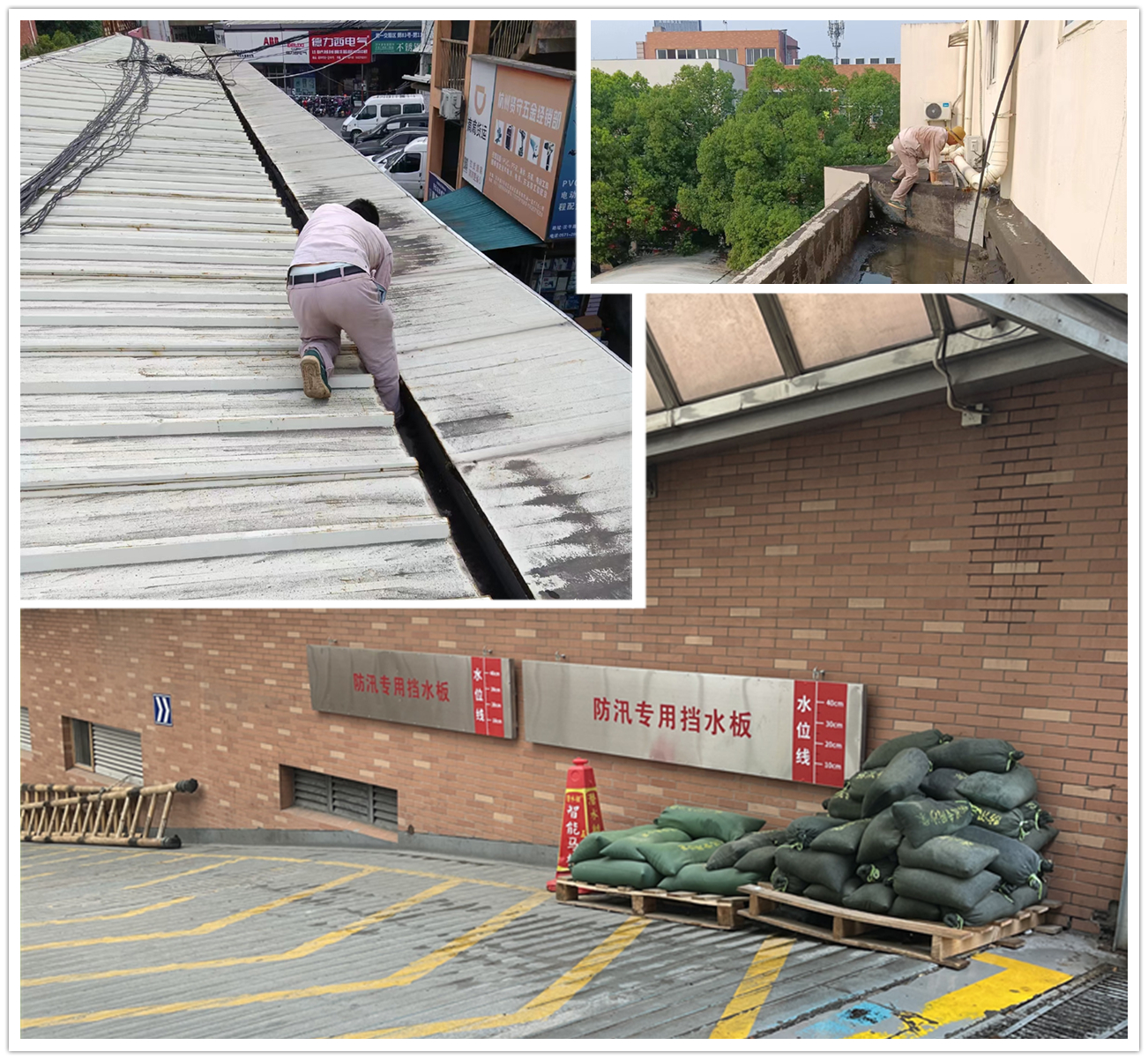 Ӧ��̨�硰÷���� �������ǲ������г����ж�