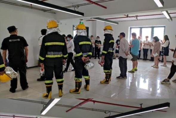 ǿ��������ʶ��������������