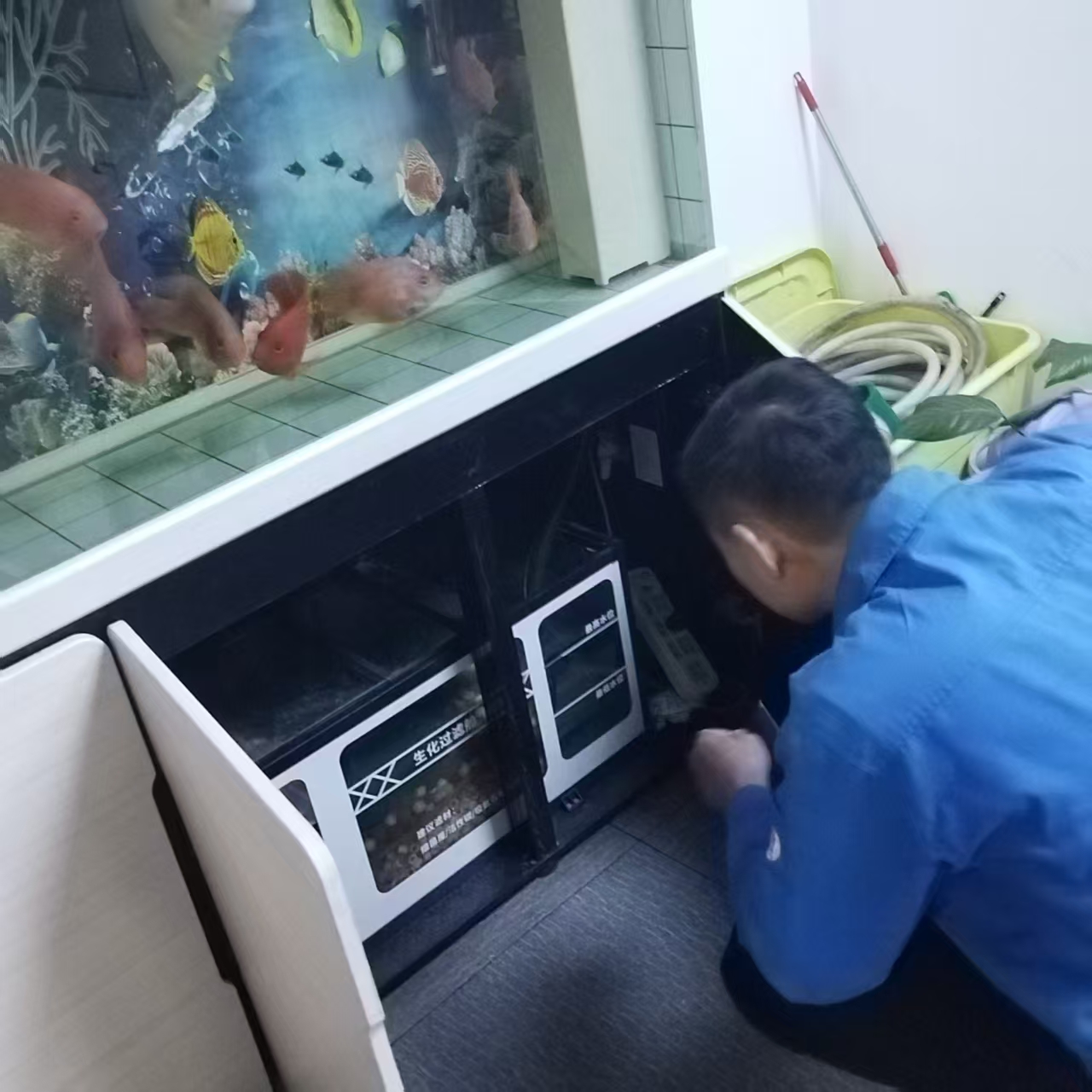 �Ѻá���ǰ�ء������Ρ�ƽ���ߡ������������ǲ������Ĵ����ſ�չ����ǰר����������˶�