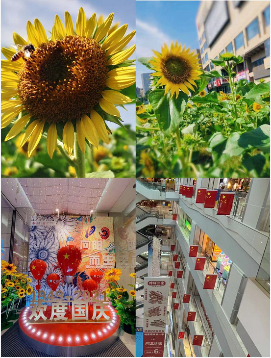 ʢ��������ˮ����ϲӭ����