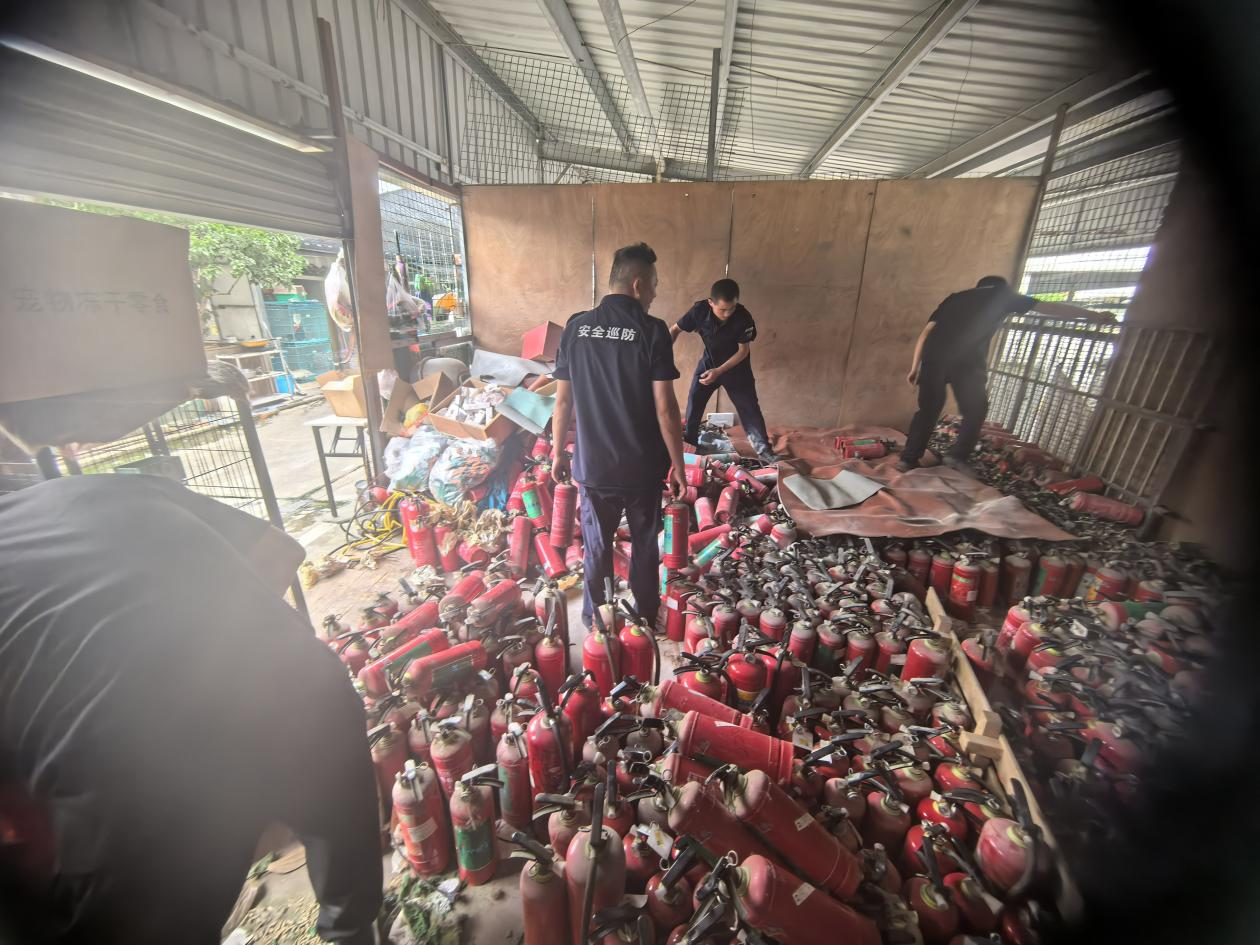 Ǯ���̳��Ų��������� ������������ǽ