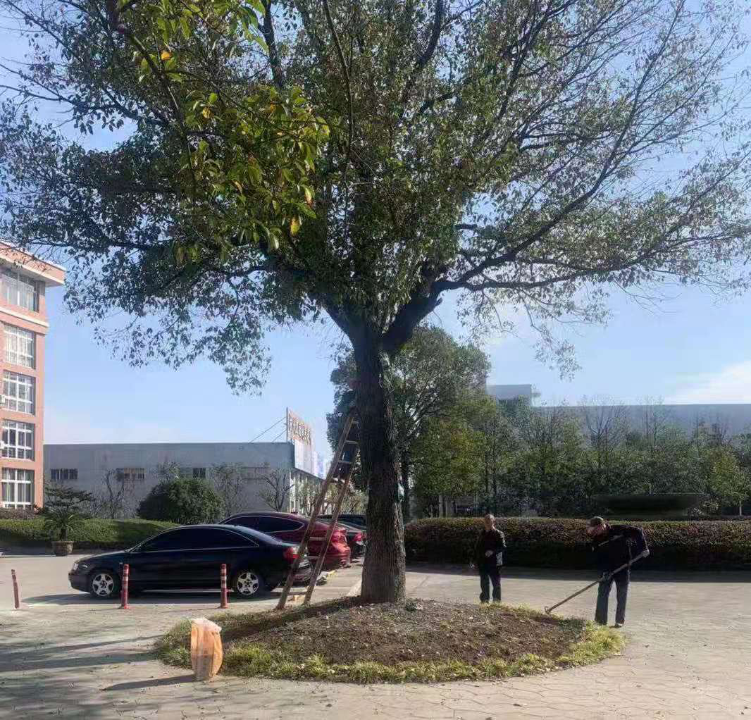 ��ѧ�������������