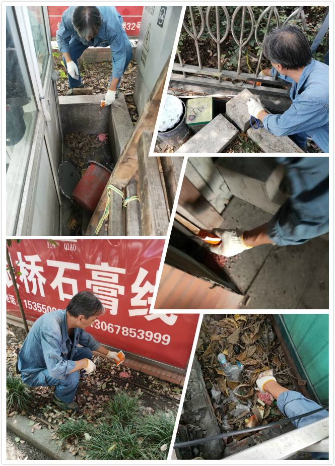 投放鼠药.jpg 投放鼠药.jpg